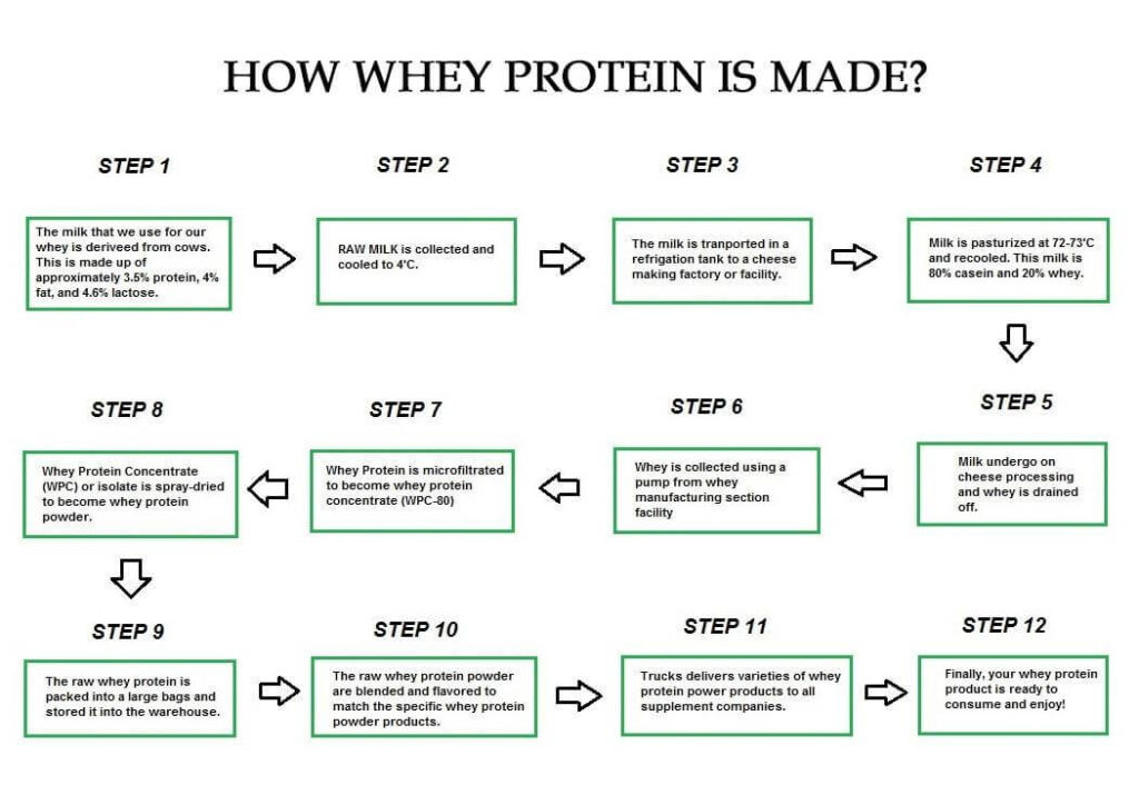 Making Of Whey Protein