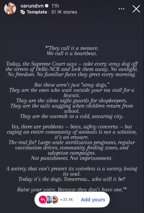 Stray Dog Supreme Court Order