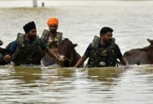 Punjab Floods