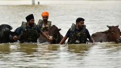 Punjab Floods