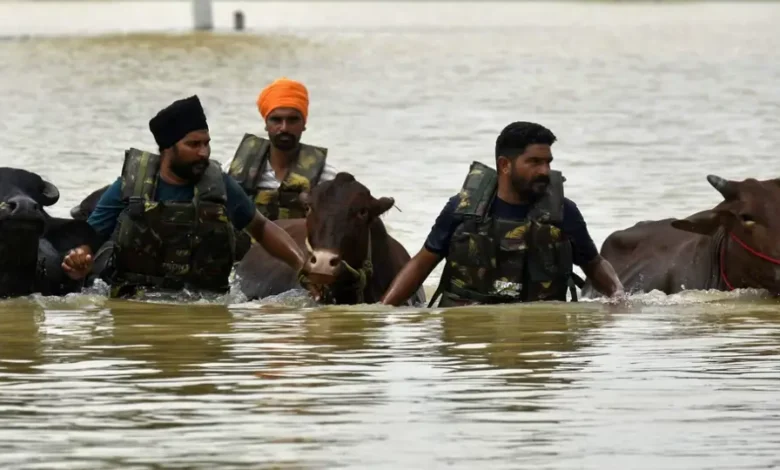 Punjab Floods