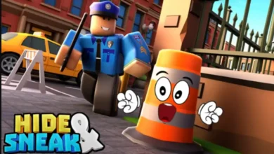 Roblox Hide and Sneak Codes