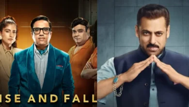 Rise and Fall vs Big Boss 19
