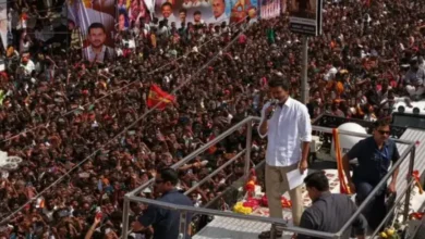 Vijay stampede