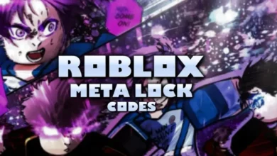 Meta Lock codes