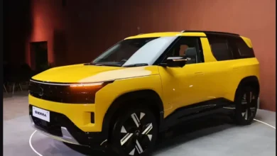 Tata Sierra Viral Video