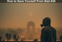 Delhi Pollution: How to Save Yourself From Bad AQI